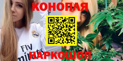 эйфоретик Кингисепп